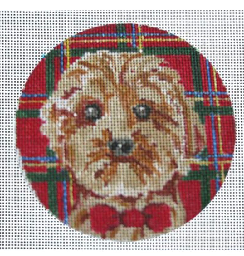 Westie's Wonder