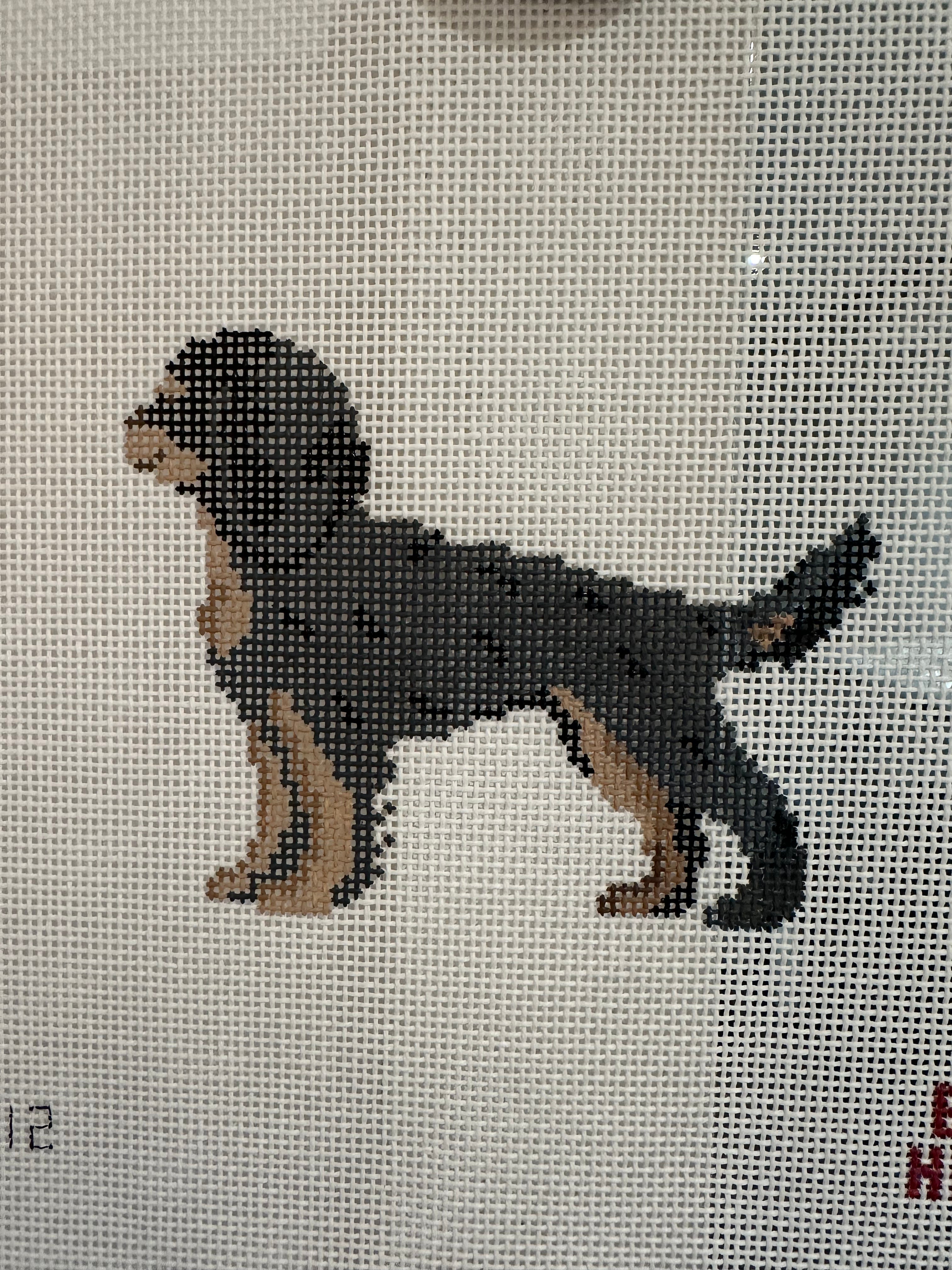 King Charles Cavalier Spaniel (Black)