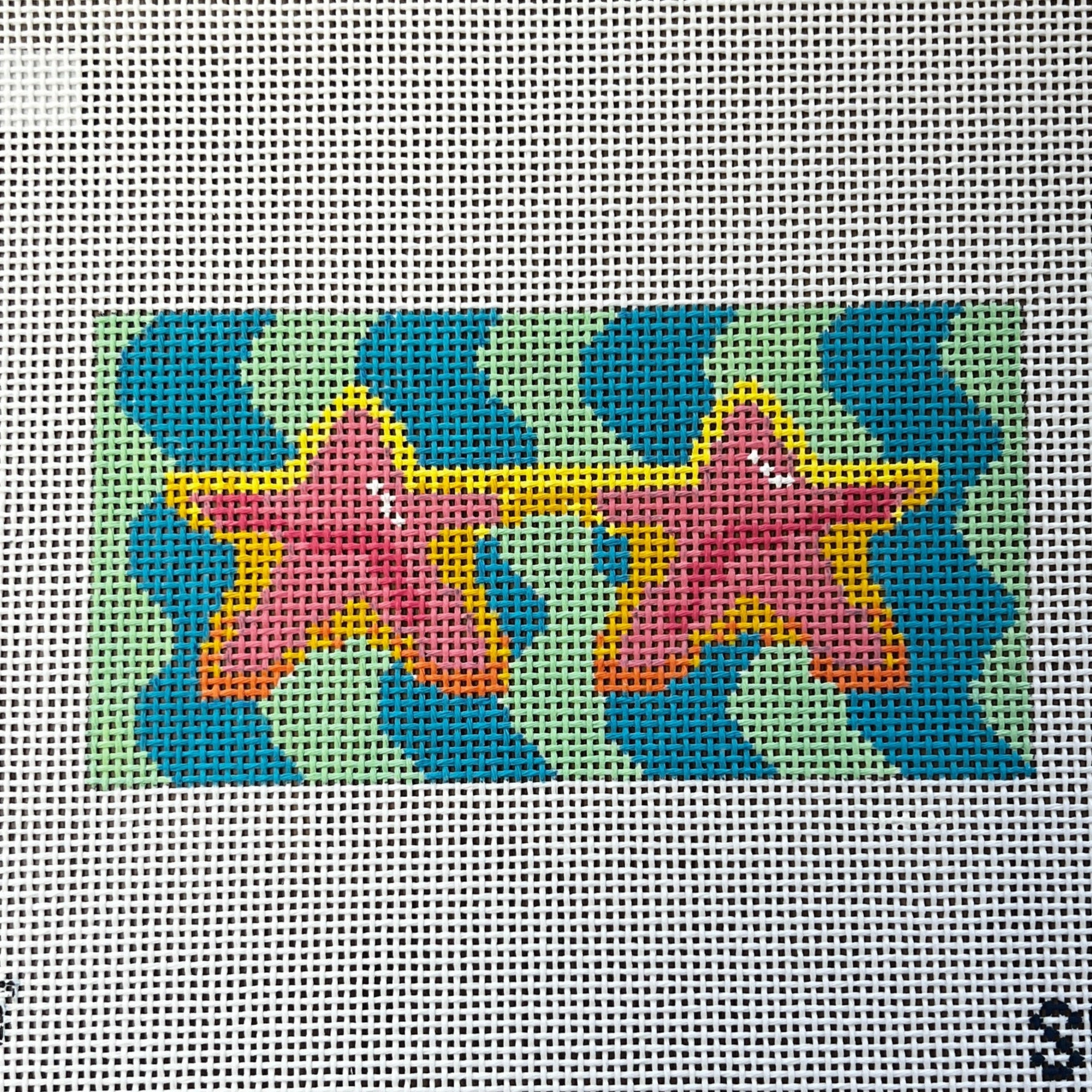 Star Glasses Eyeglass Case