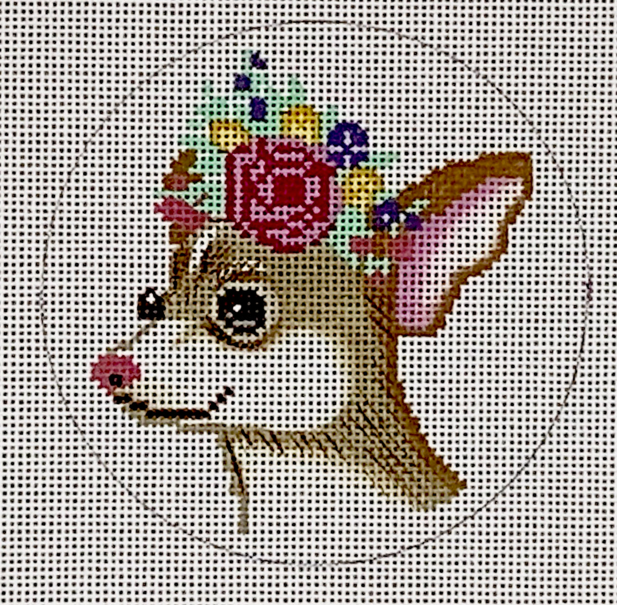 Janet White: Chihuahua