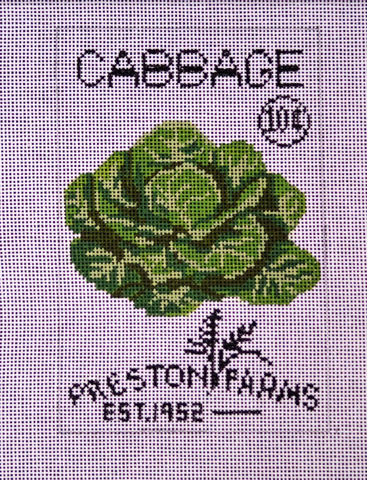 Cabbage Seed Packet