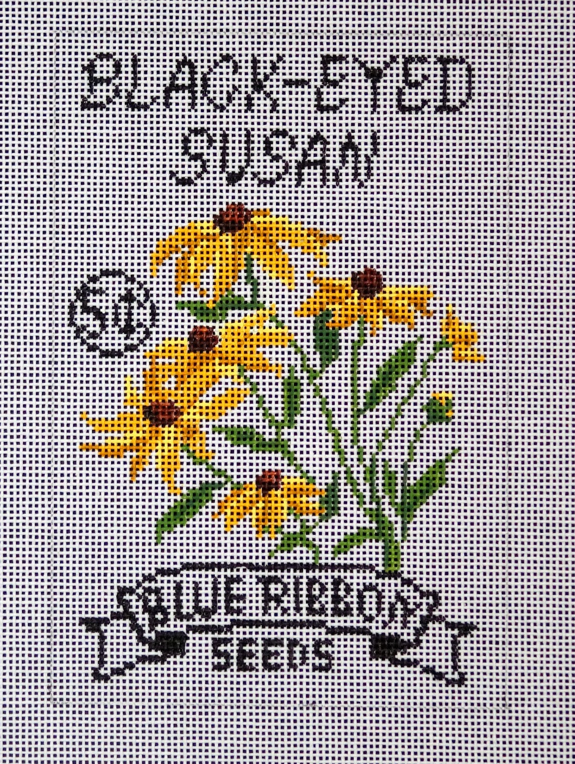 Black-Eyed Susan 13 ct