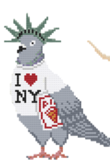 NYC Pigeon