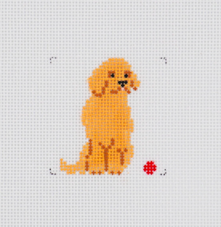 Mini Golden Retriever