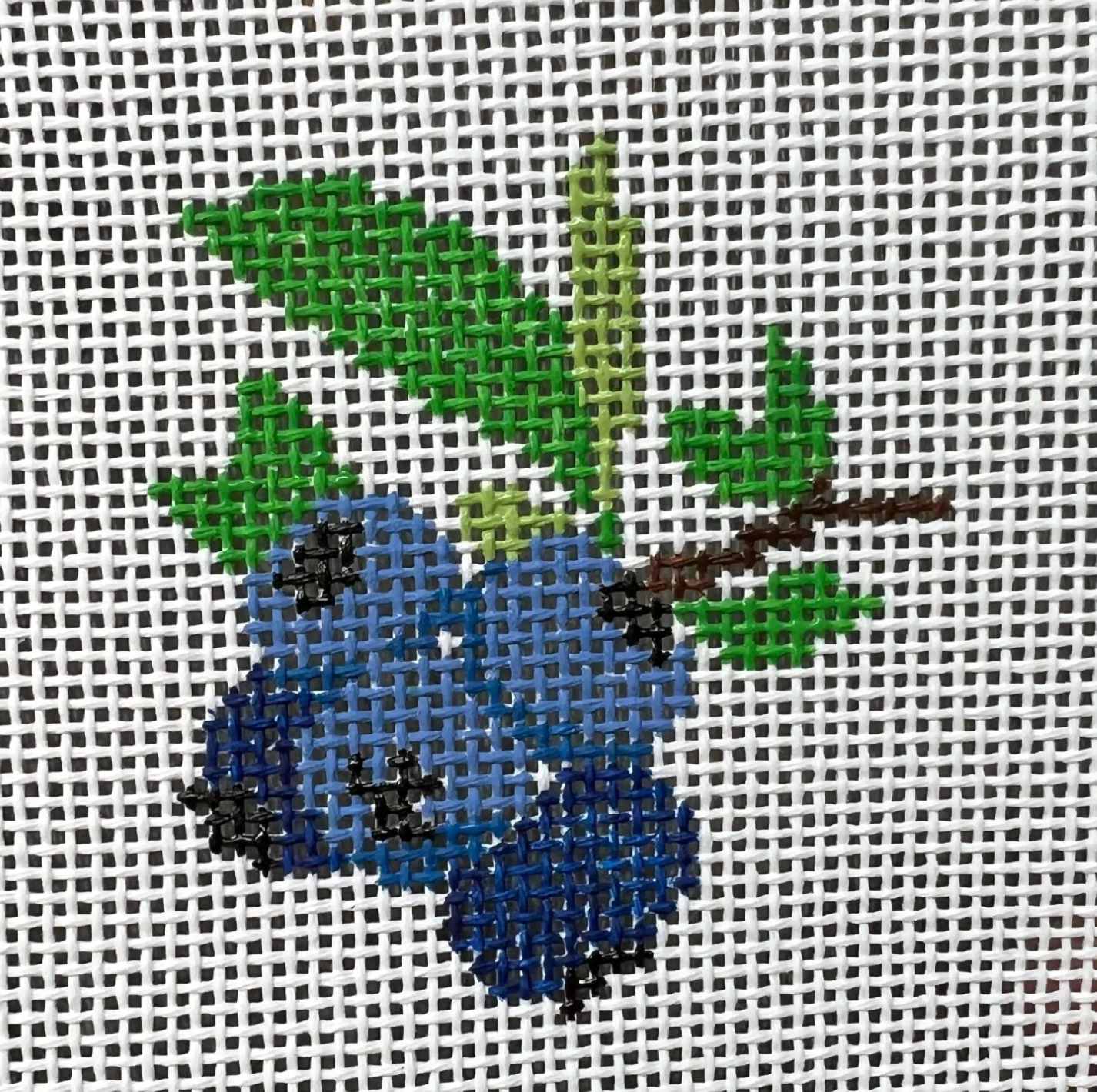 Blueberries