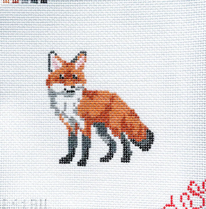 Baby Fox