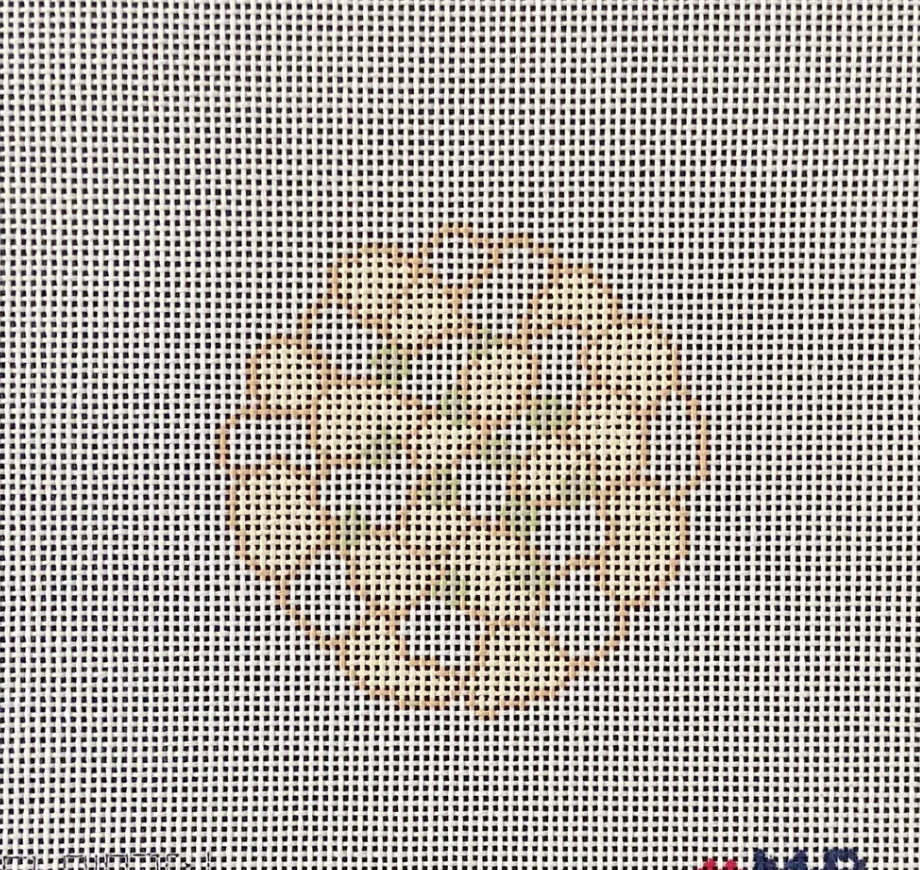 Hydrangeas Ivory 4x4