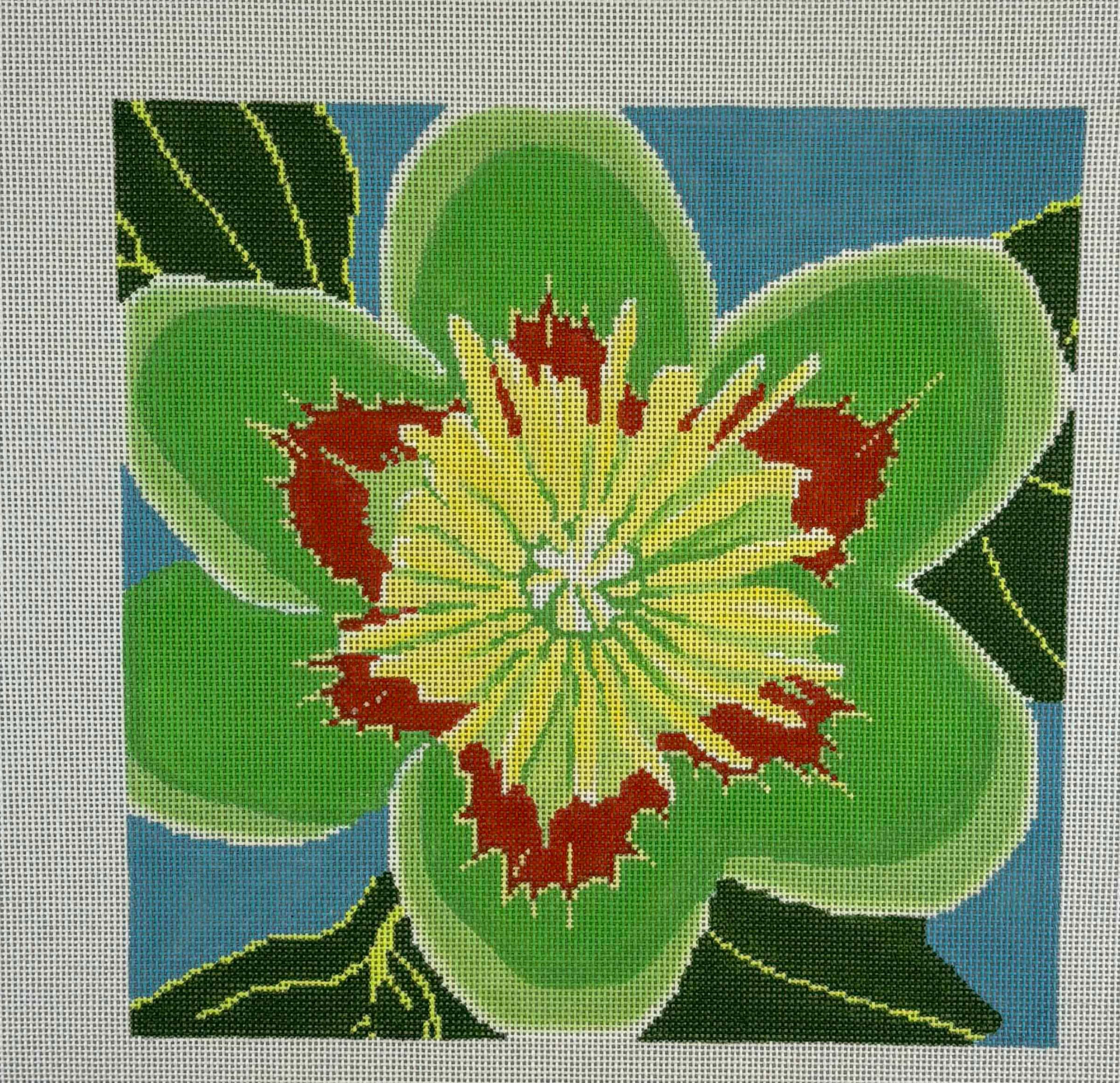 Tulip Poplar Blossom