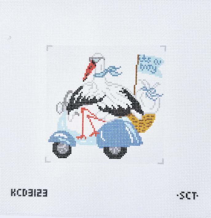Special Delivery Stork - It’s a Boy Printed Canvas