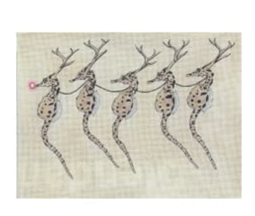 Seahorse Reindeer