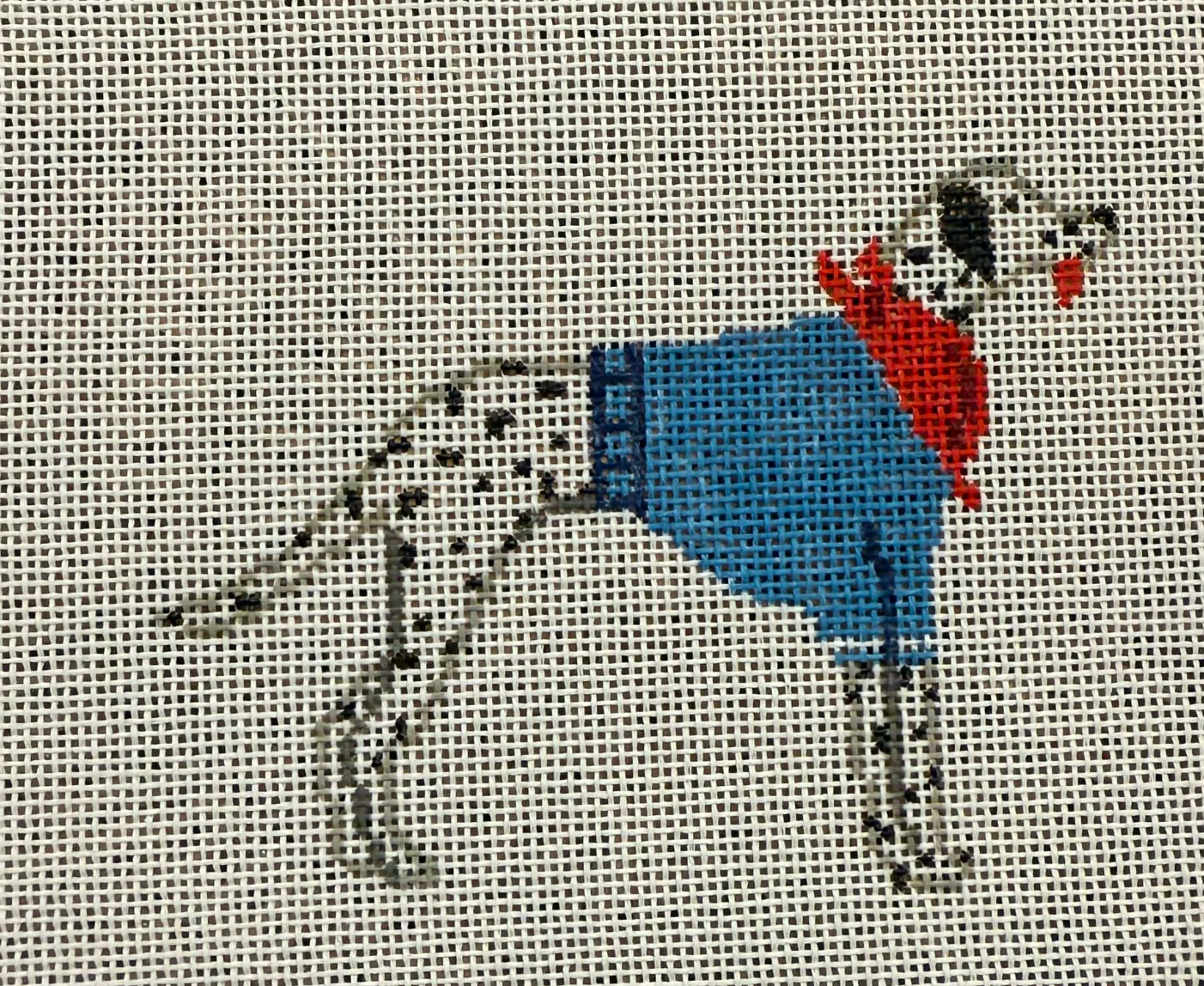 Salty Dog Dalmatian