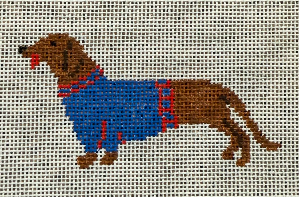 Salty Dog Dachsund