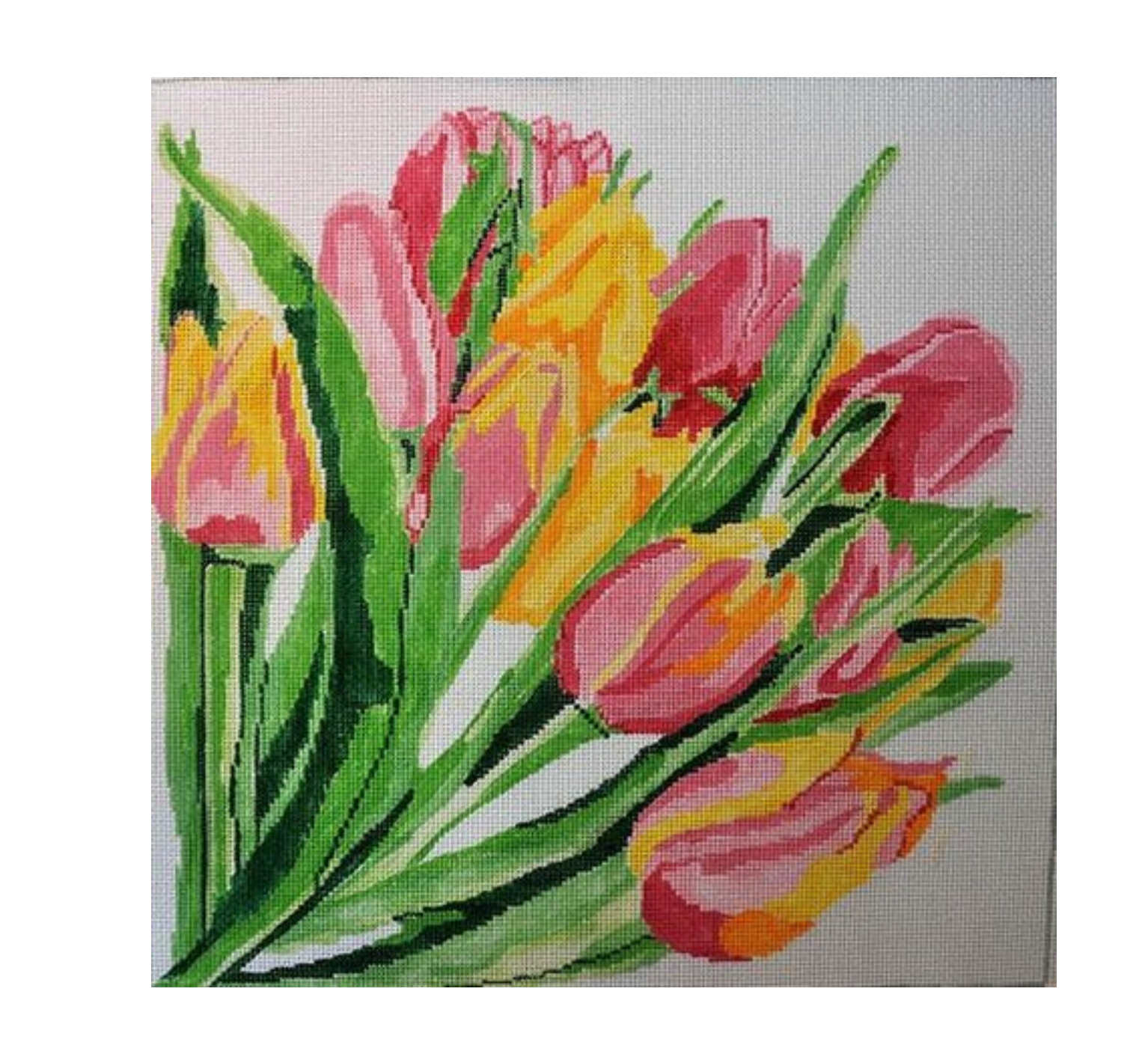 Pink & Yellow Tulips