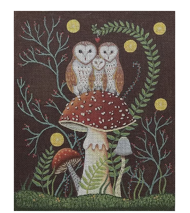 Animals: Barn Owls