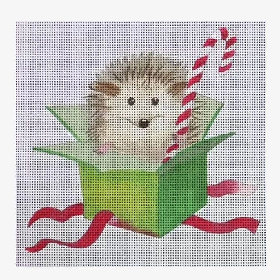 Hedgehog in Box