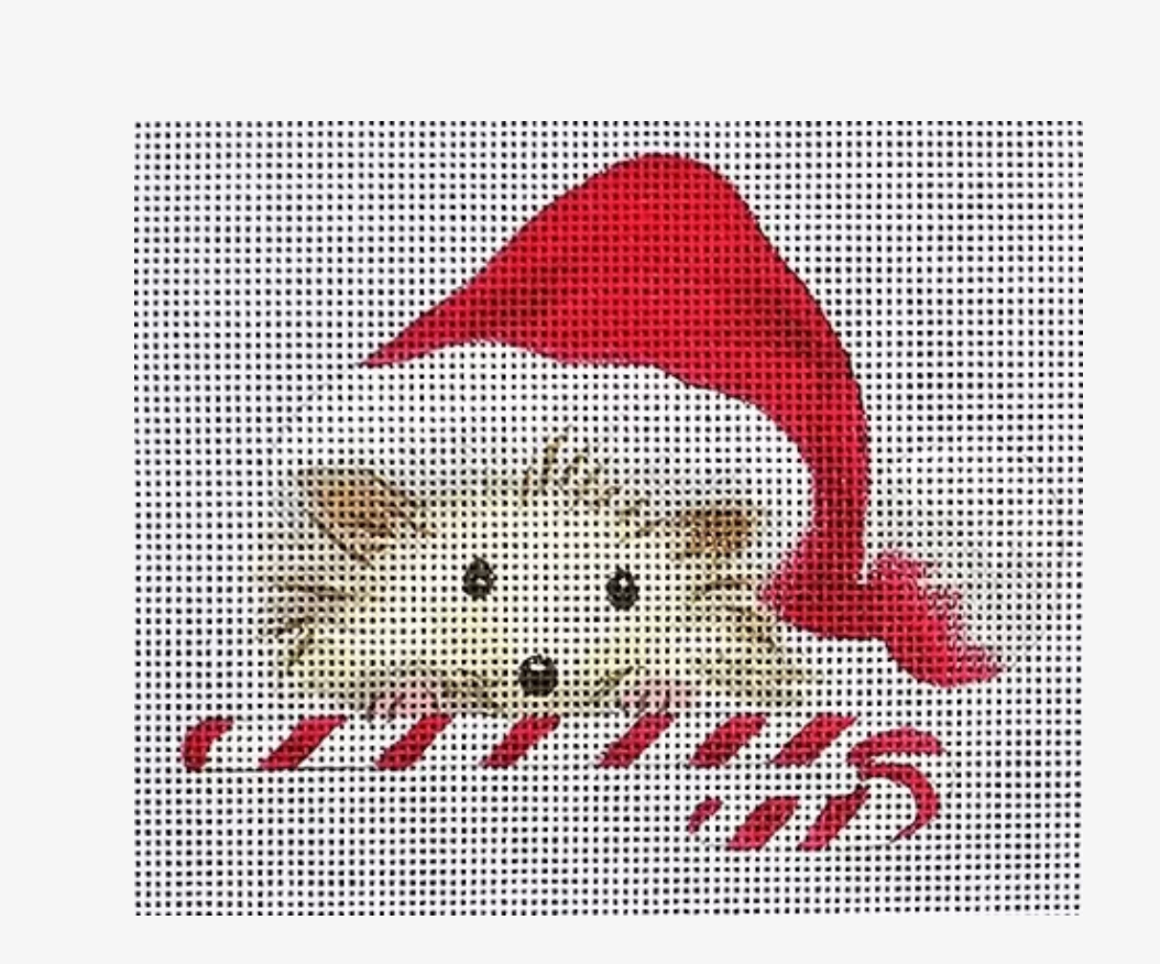 Hedgehog with Candy Cane