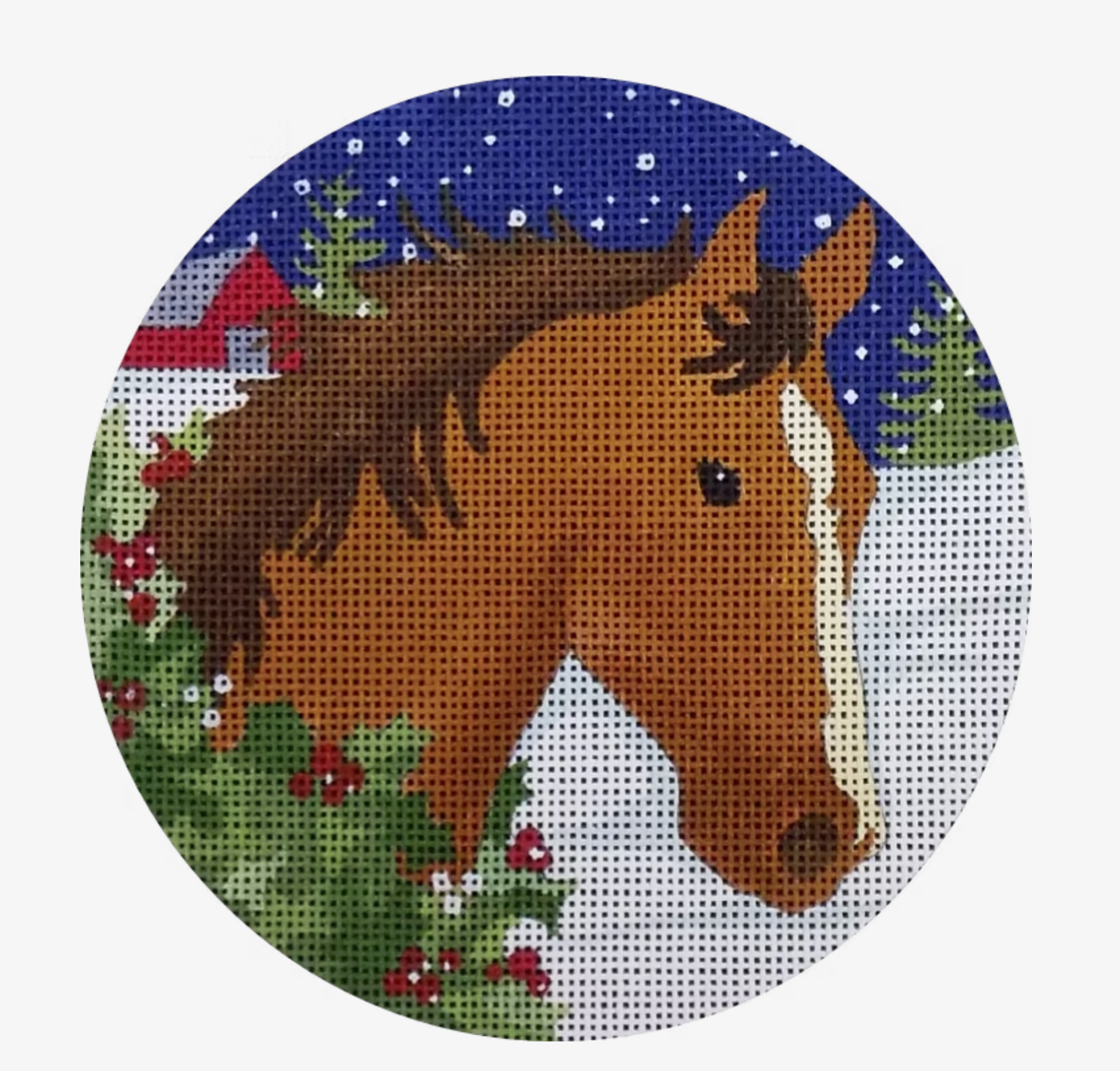 Winter Horse