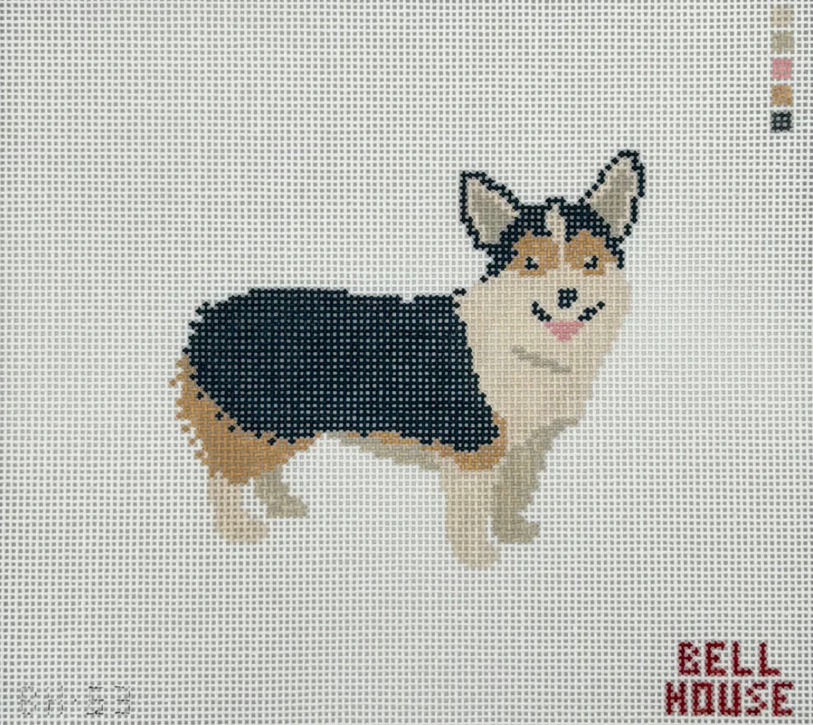 Corgi - Tricolor
