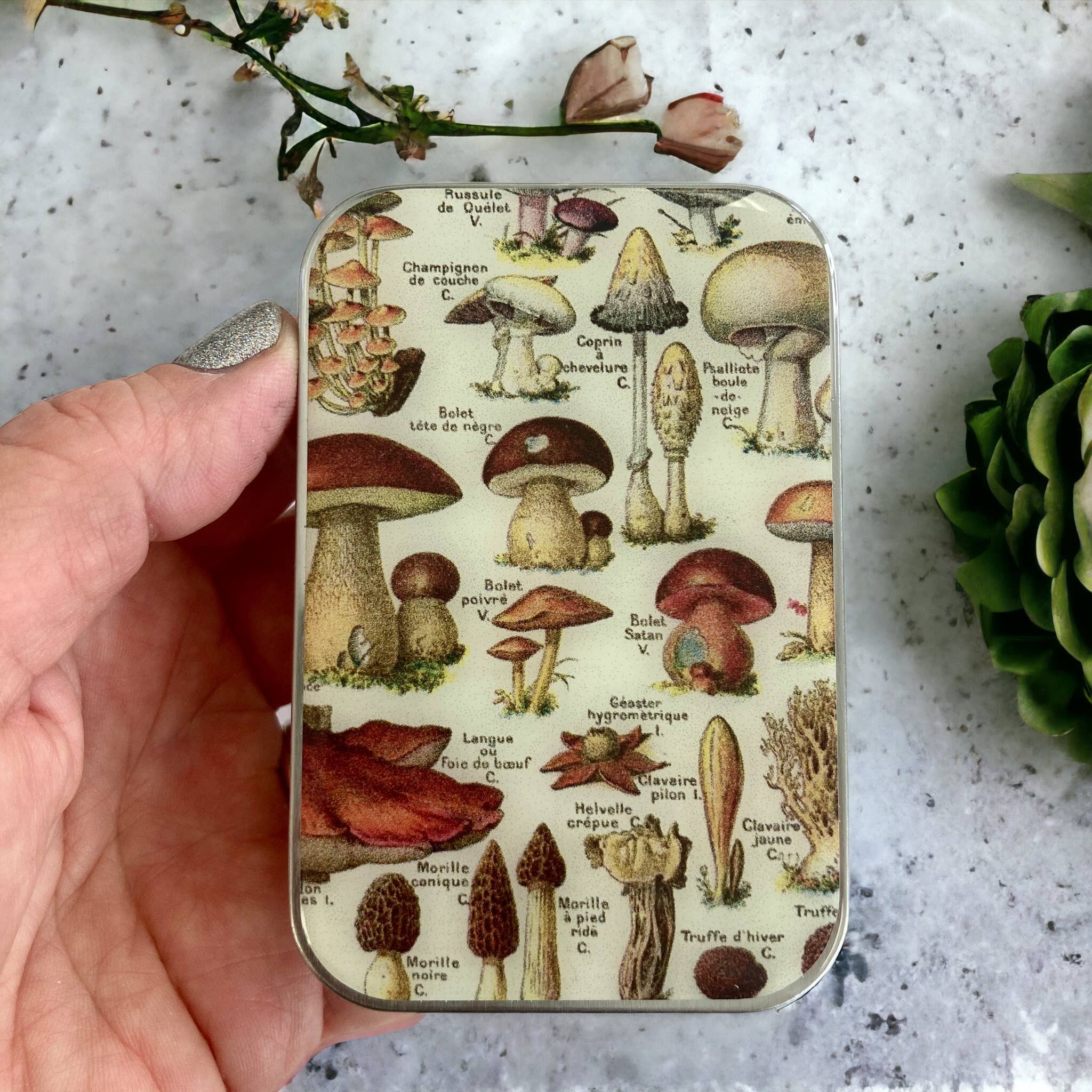 Mushroom Notions Tin: Large