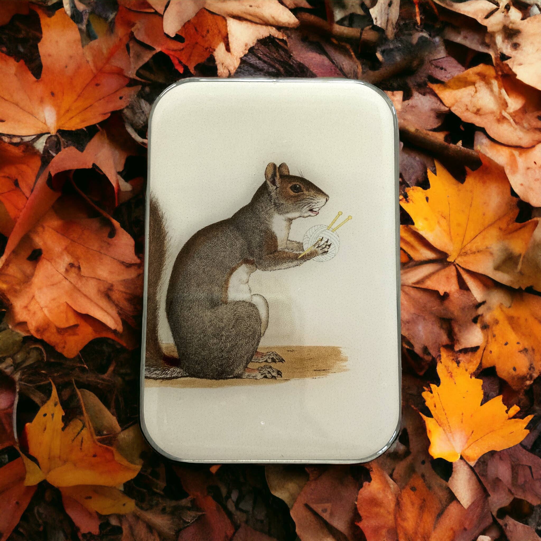 Yarn Squirrel notions tin