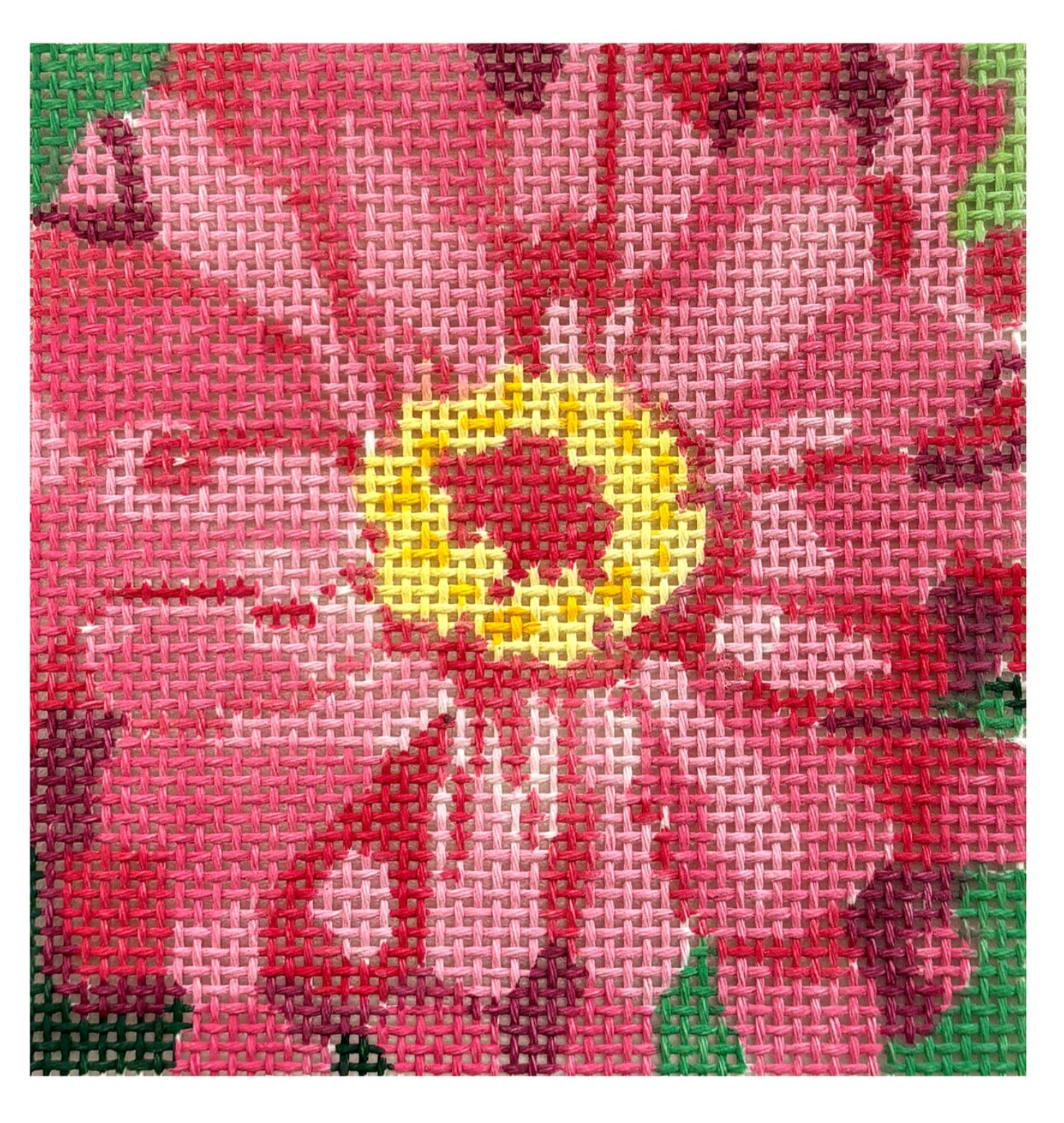 jean smith Full Bloom Pink Zinnia Coaster needlepoint canvas