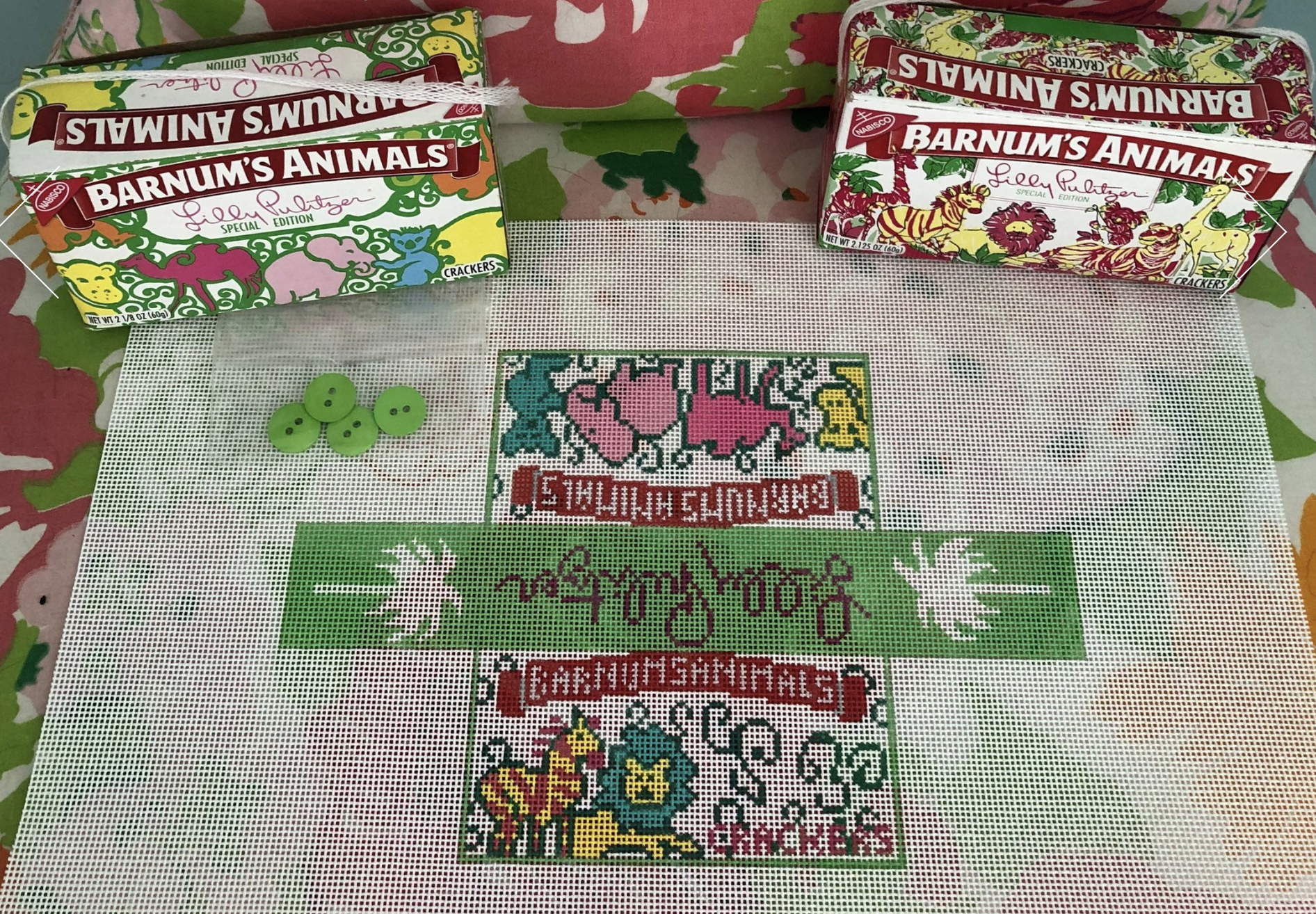 jessica tongel Lilly Animal Crackers 3D Box