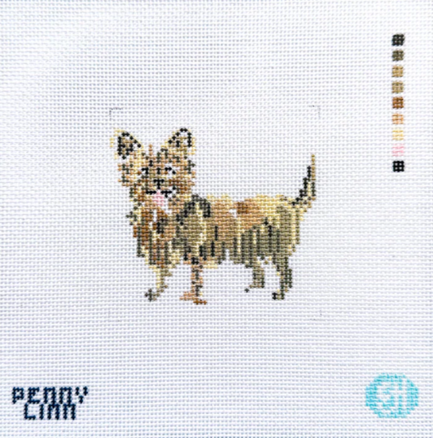 penny linn evelyn henson Yorkie needlepoint canvas